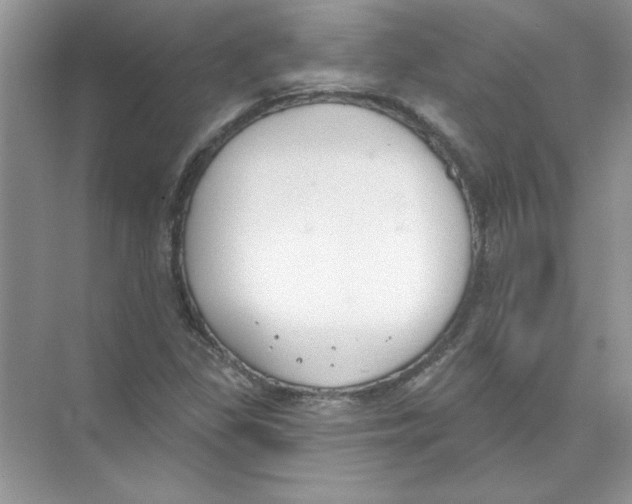 X0000074321309200609230016