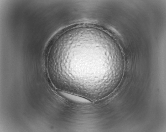 X0000074321310200609230016