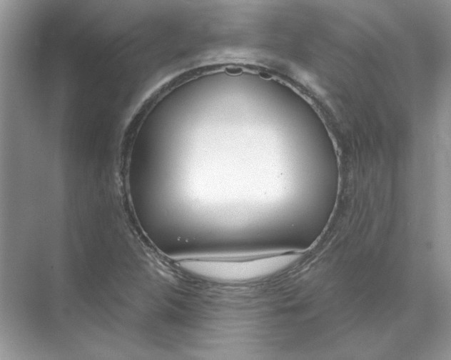 X0000074321312200609230016