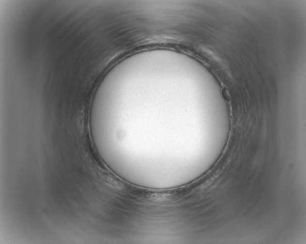 X0000074321313200609230016