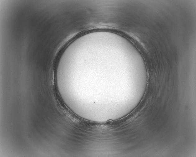 X0000074321317200609230016