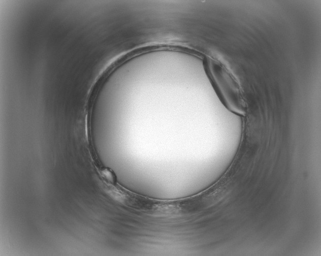 X0000074321320200609230016