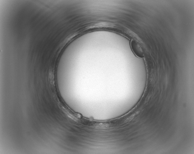 X0000074321321200609230016