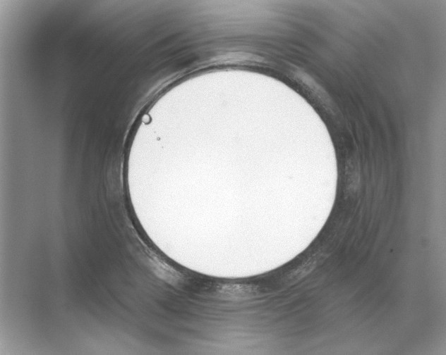 X0000074321322200609230016