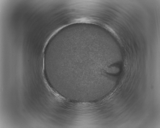 X0000074321323200609230016