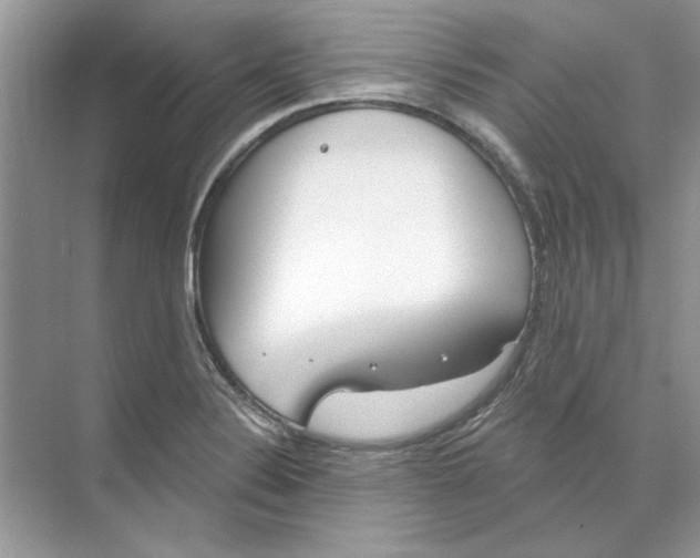 X0000074321324200609230016