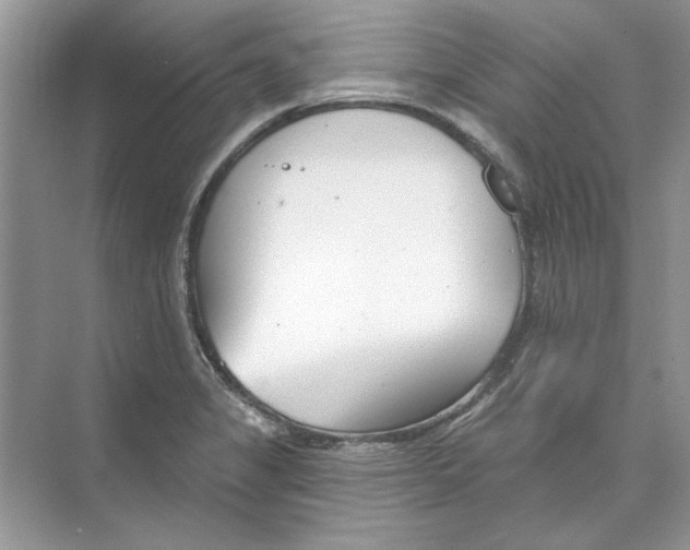 X0000074321325200609230016