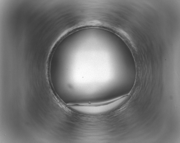 X0000074321326200609230016