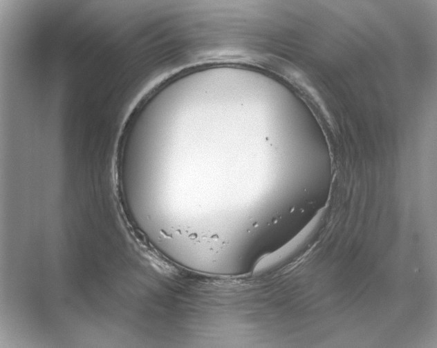 X0000074321328200609230016