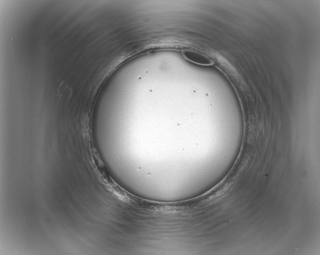 X0000074321329200609230016