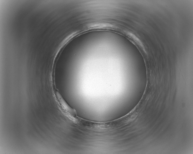 X0000074321330200609230016