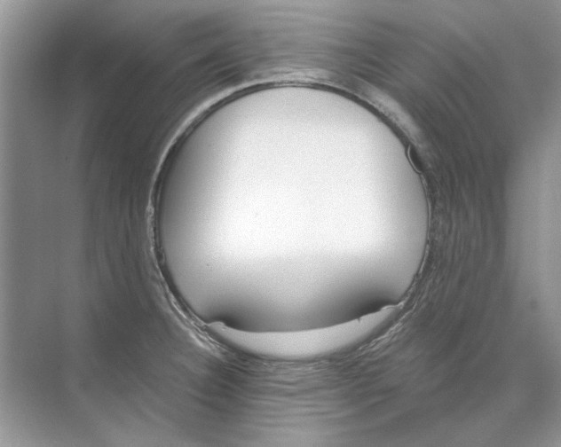 X0000074321332200609230016