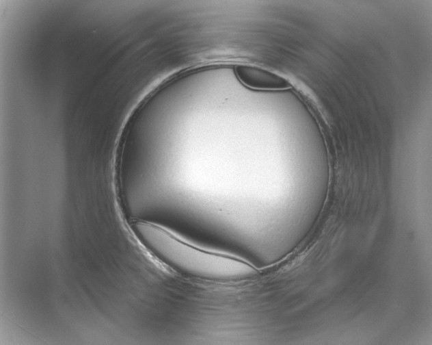 X0000074321333200609230016