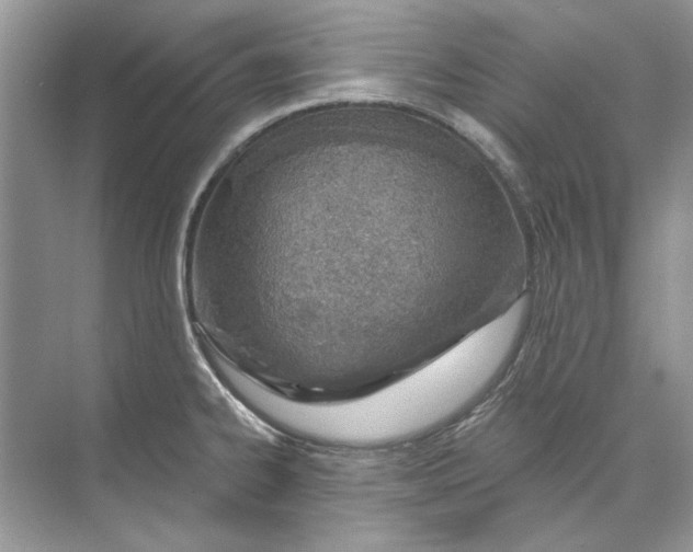 X0000074321334200609230016