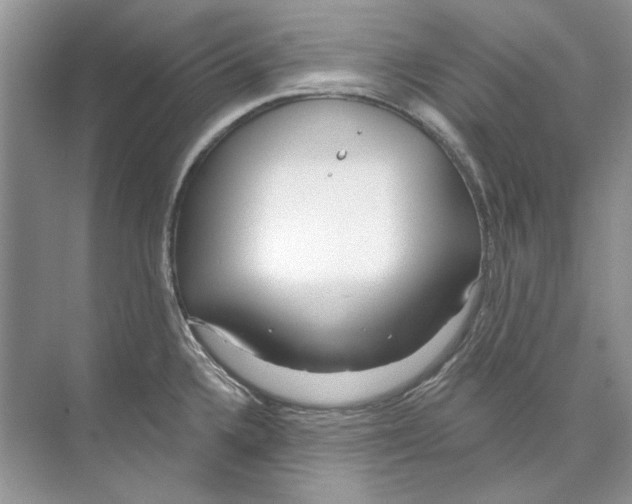 X0000074321336200609230016