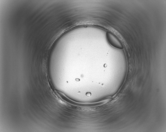 X0000074321337200609230016