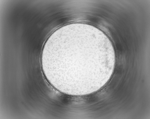 X0000074321338200609230017