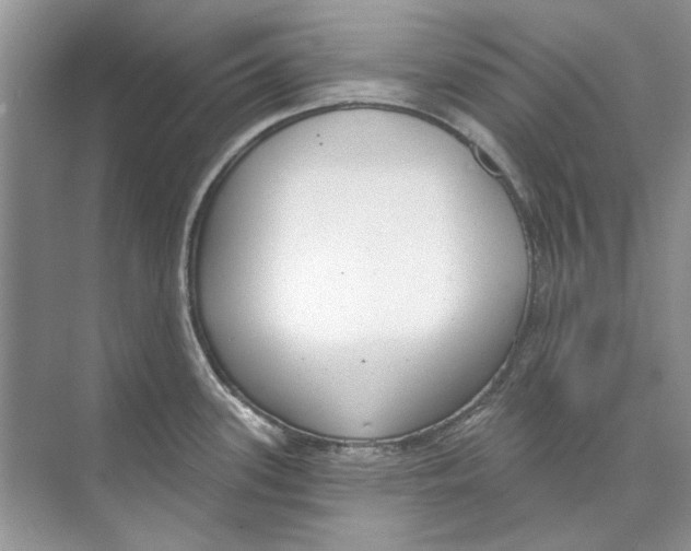 X0000074321339200609230017