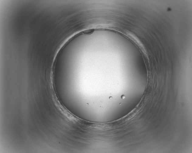 X0000074321340200609230017