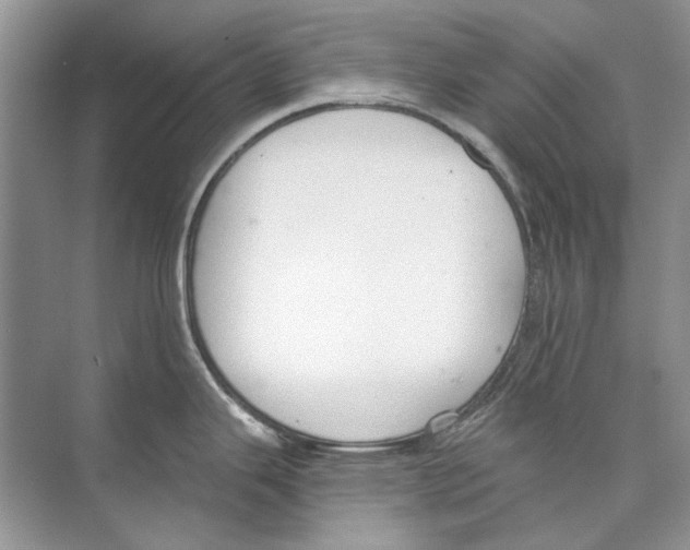 X0000074321343200609230017