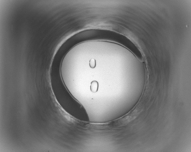 X0000074321344200609230017