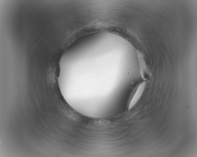 X0000074321348200609230016