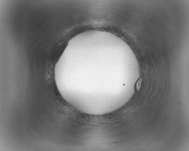 X0000074321349200609230016