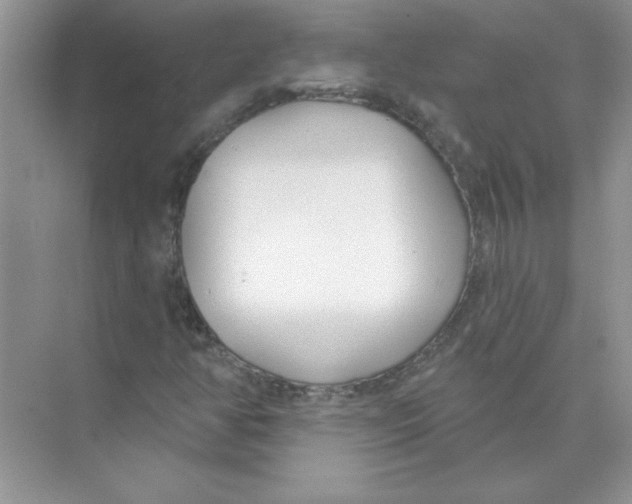 X0000074321350200609230016