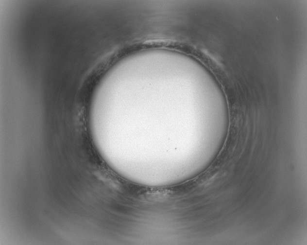 X0000074321351200609230016