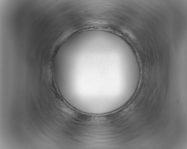 X0000074321354200609230016