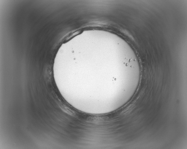 X0000074321355200609230016