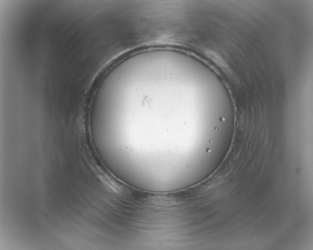 X0000074321356200609230016