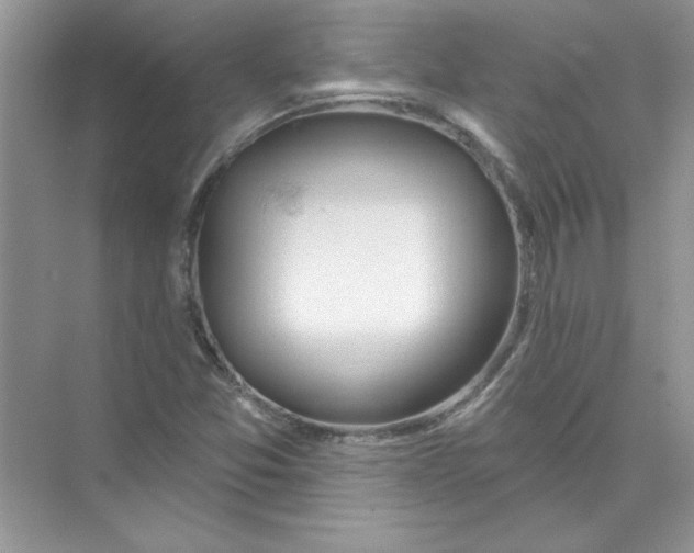 X0000074321357200609230016