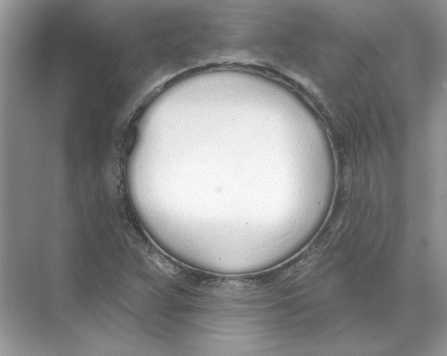 X0000074321359200609230016