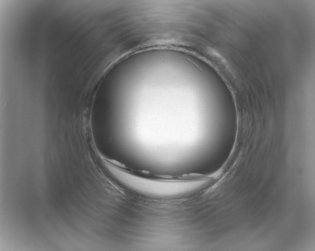 X0000074321361200609230016