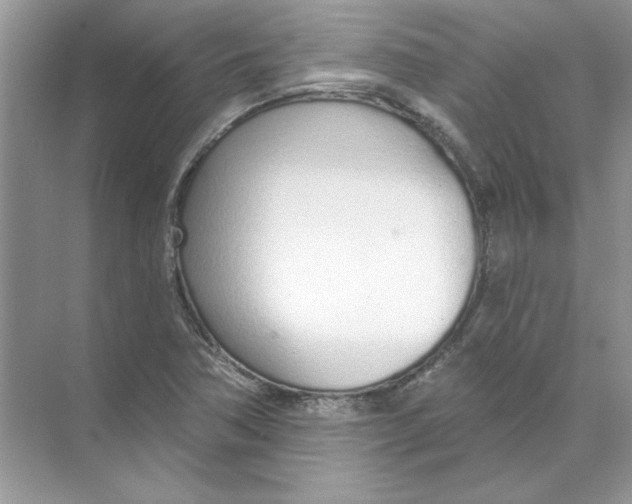 X0000074321362200609230016