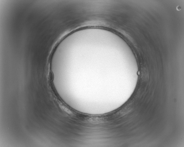 X0000074321366200609230015