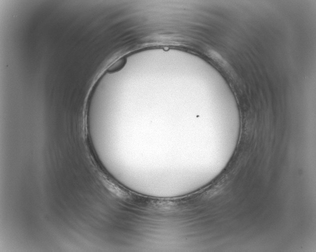 X0000074321370200609230015