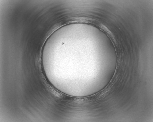 X0000074321378200609230015