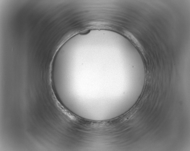 X0000074321386200609230015