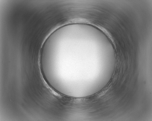 X0000074321390200609230015