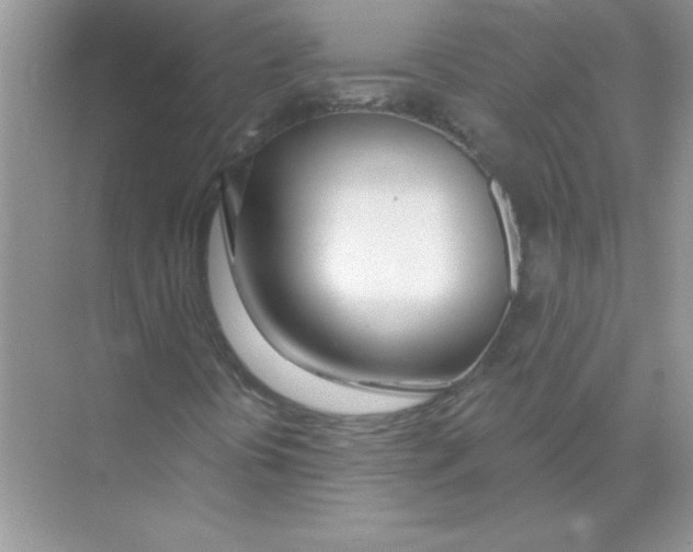 X0000074321394200609230014