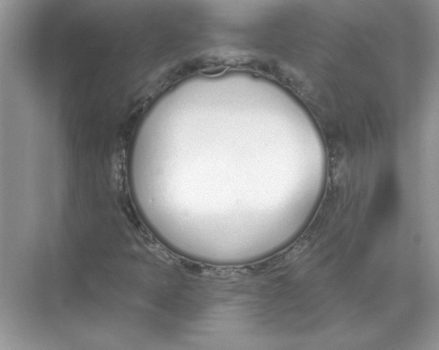 X0000074321397200609230014