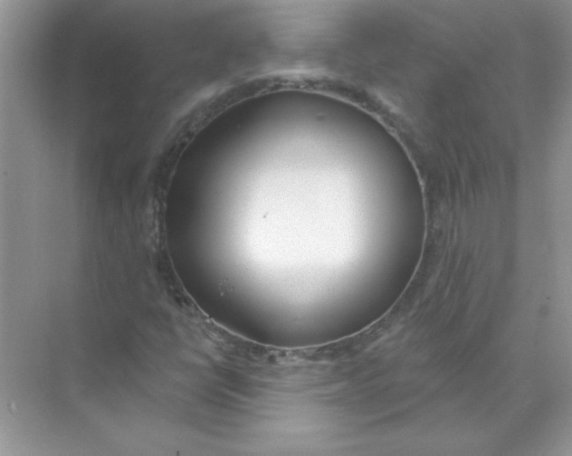 X0000074321398200609230014