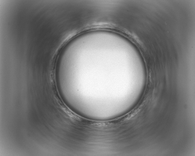 X0000074321405200609230014