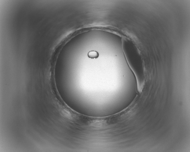 X0000074321406200609230014