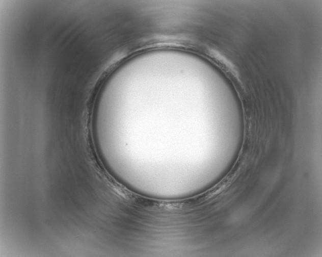 X0000074321411200609230015