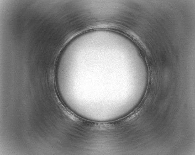 X0000074321417200609230015