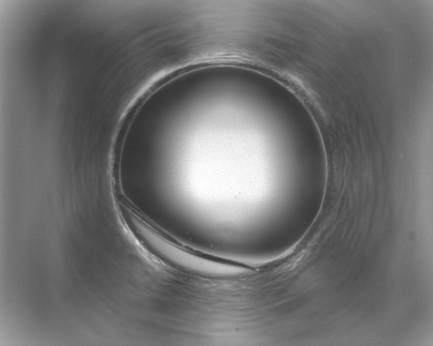 X0000074321422200609230015