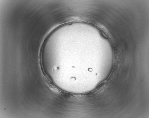 X0000074321427200609230015